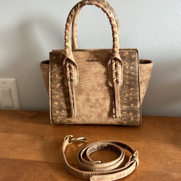 Bebe - Picture 6 of 6